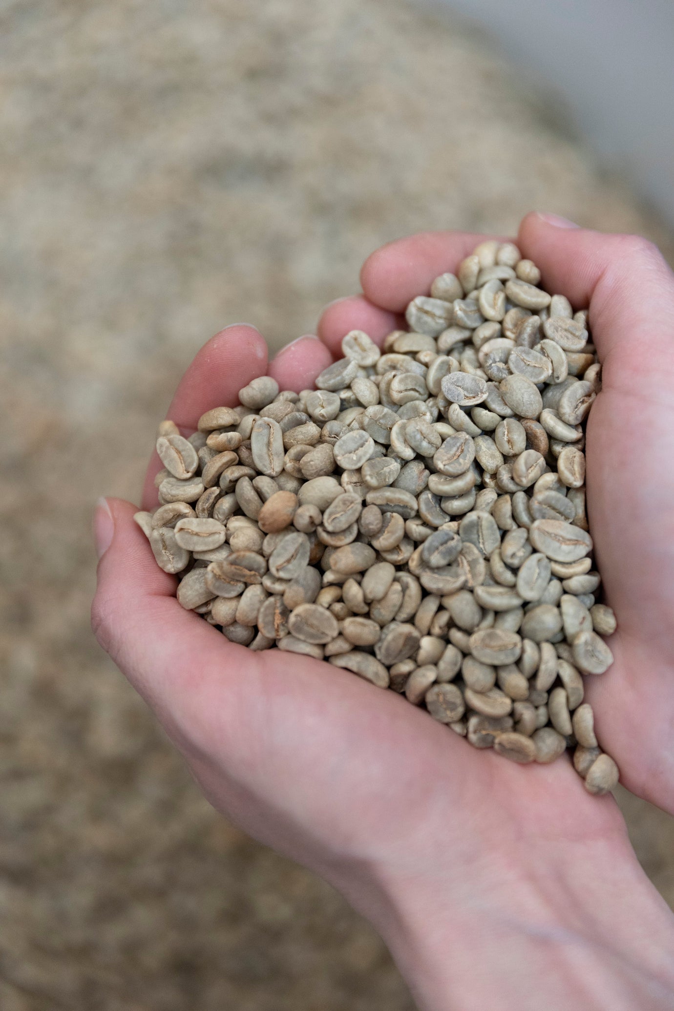 Decaf Coffee: The Underrated Gem of the Coffee World