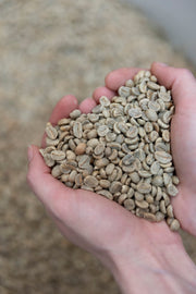 Decaf Coffee: The Underrated Gem of the Coffee World